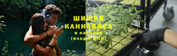 ПСИЛОЦИБИНОВЫЕ ГРИБЫ Надым
