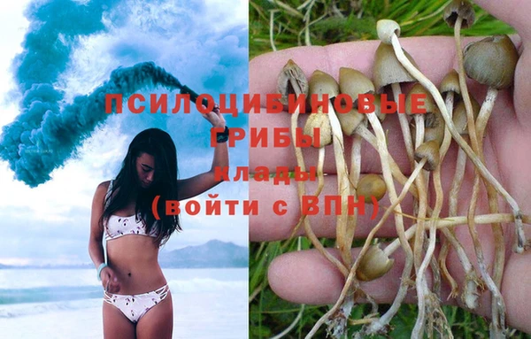дживик Наволоки