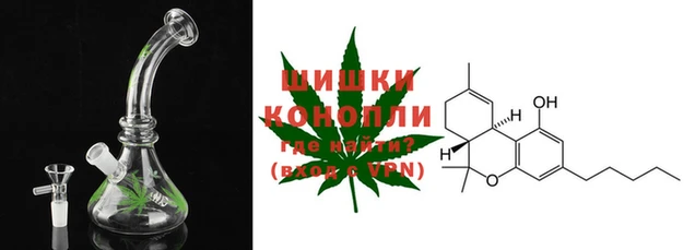 ПСИЛОЦИБИНОВЫЕ ГРИБЫ Надым