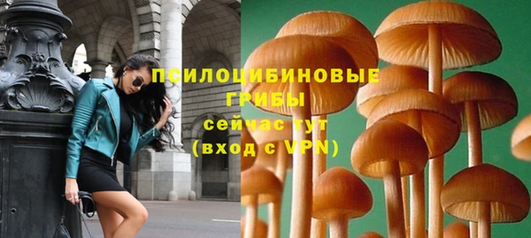 дживик Наволоки