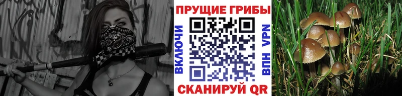 Галлюциногенные грибы мицелий  сколько стоит  Домодедово 
