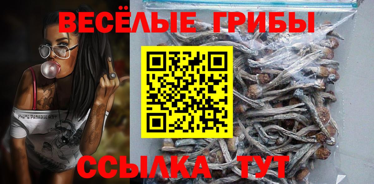 Псилоцибиновые грибы мухоморы Домодедово