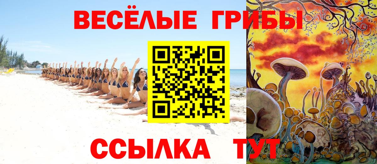 Галлюциногенные грибы Psilocybe  Галлюциногенные грибы ЛСД  Вход с VPN  как найти наркотики  Домодедово 