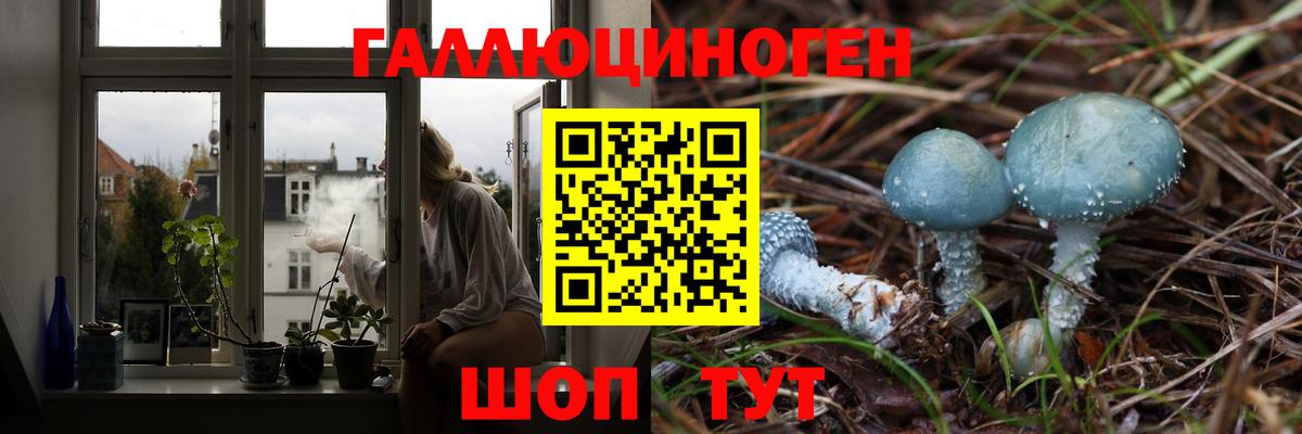 Псилоцибиновые грибы мухоморы Домодедово